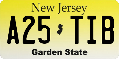 NJ license plate A25TIB