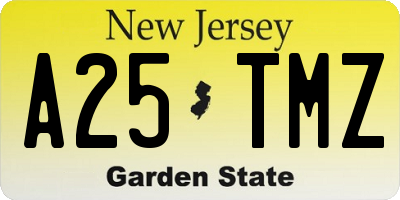 NJ license plate A25TMZ