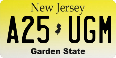 NJ license plate A25UGM