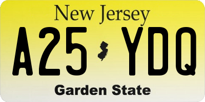 NJ license plate A25YDQ