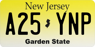 NJ license plate A25YNP