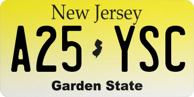 NJ license plate A25YSC