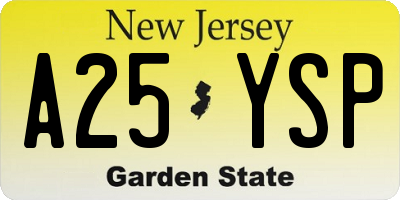 NJ license plate A25YSP