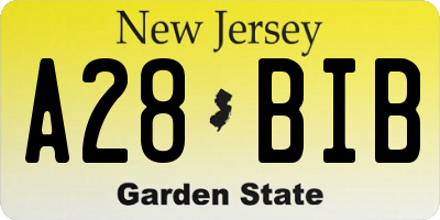 NJ license plate A28BIB