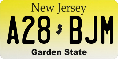 NJ license plate A28BJM