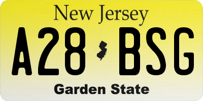 NJ license plate A28BSG