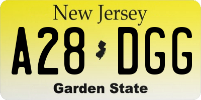 NJ license plate A28DGG
