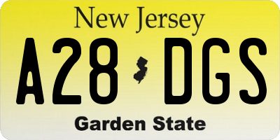 NJ license plate A28DGS