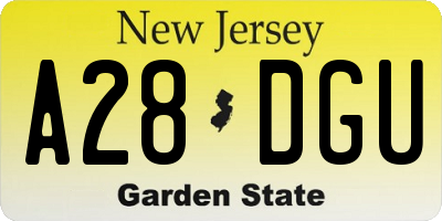 NJ license plate A28DGU