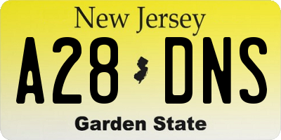 NJ license plate A28DNS