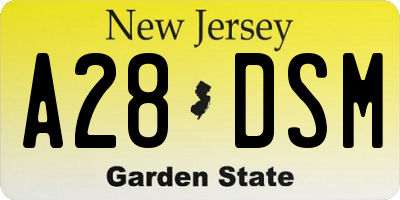 NJ license plate A28DSM