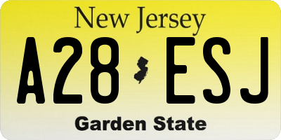 NJ license plate A28ESJ