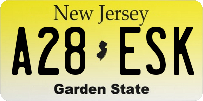 NJ license plate A28ESK