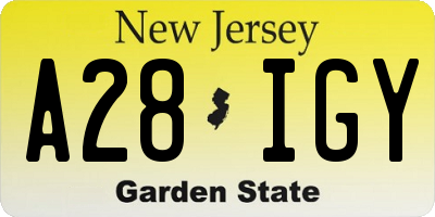 NJ license plate A28IGY