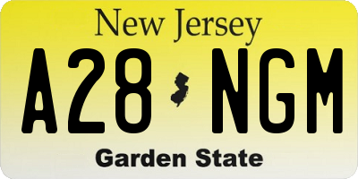 NJ license plate A28NGM