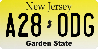 NJ license plate A28ODG