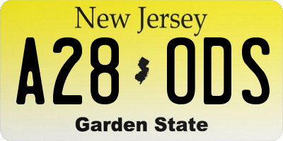 NJ license plate A28ODS