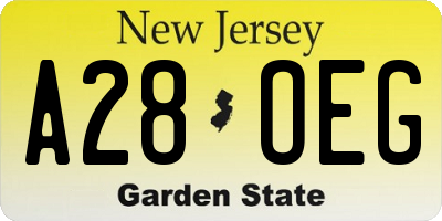 NJ license plate A28OEG