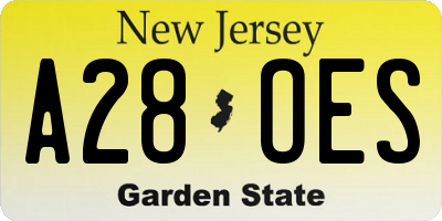 NJ license plate A28OES