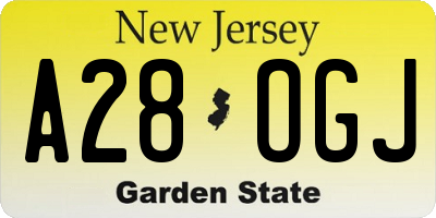 NJ license plate A28OGJ