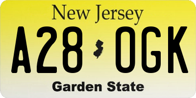 NJ license plate A28OGK