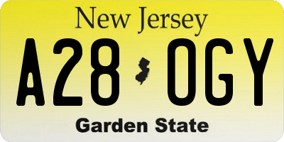 NJ license plate A28OGY