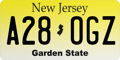 NJ license plate A28OGZ