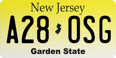 NJ license plate A28OSG