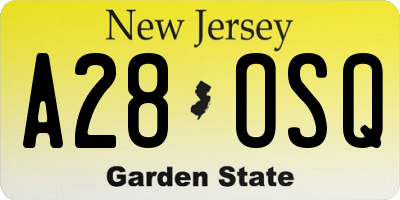 NJ license plate A28OSQ