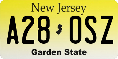 NJ license plate A28OSZ