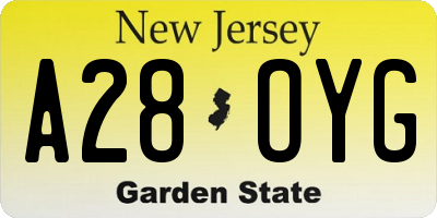 NJ license plate A28OYG