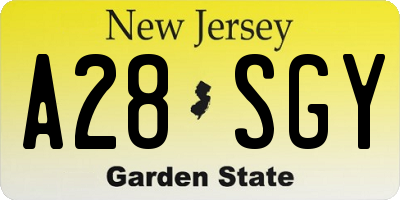 NJ license plate A28SGY