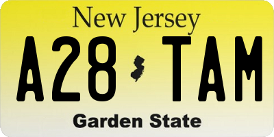 NJ license plate A28TAM