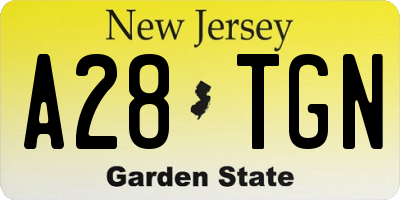 NJ license plate A28TGN