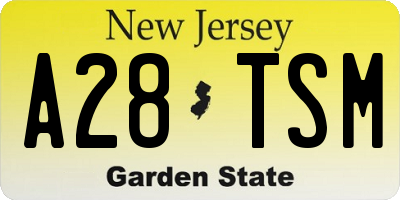 NJ license plate A28TSM