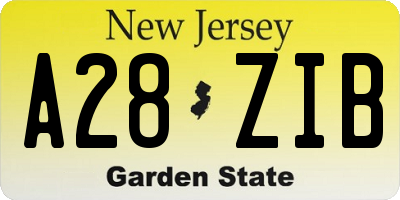 NJ license plate A28ZIB