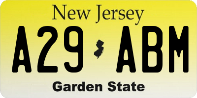 NJ license plate A29ABM
