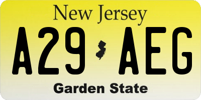 NJ license plate A29AEG