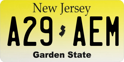 NJ license plate A29AEM