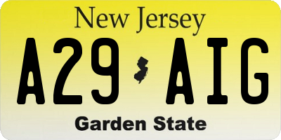 NJ license plate A29AIG