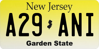 NJ license plate A29ANI