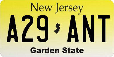 NJ license plate A29ANT