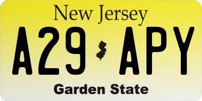 NJ license plate A29APY