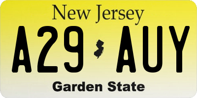 NJ license plate A29AUY