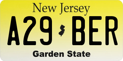 NJ license plate A29BER