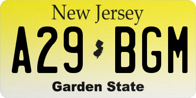 NJ license plate A29BGM