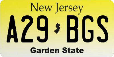 NJ license plate A29BGS