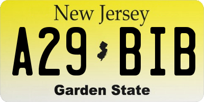NJ license plate A29BIB