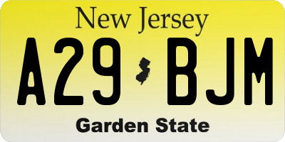 NJ license plate A29BJM