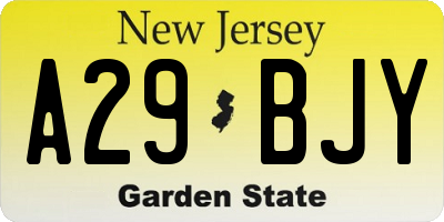NJ license plate A29BJY
